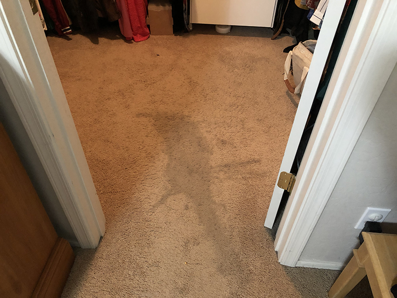 Maricopa Best Carpet and Tile Cleaning CopaClean